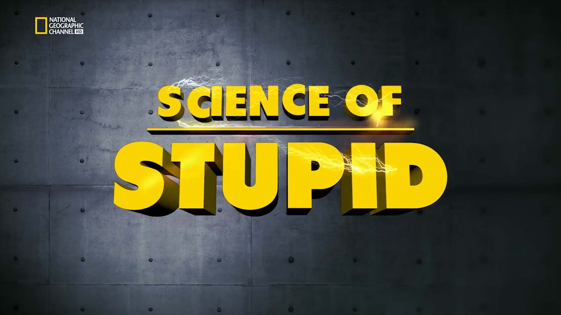 Peter Anderson Studio The Science Of Stupid Motion Graphics 07