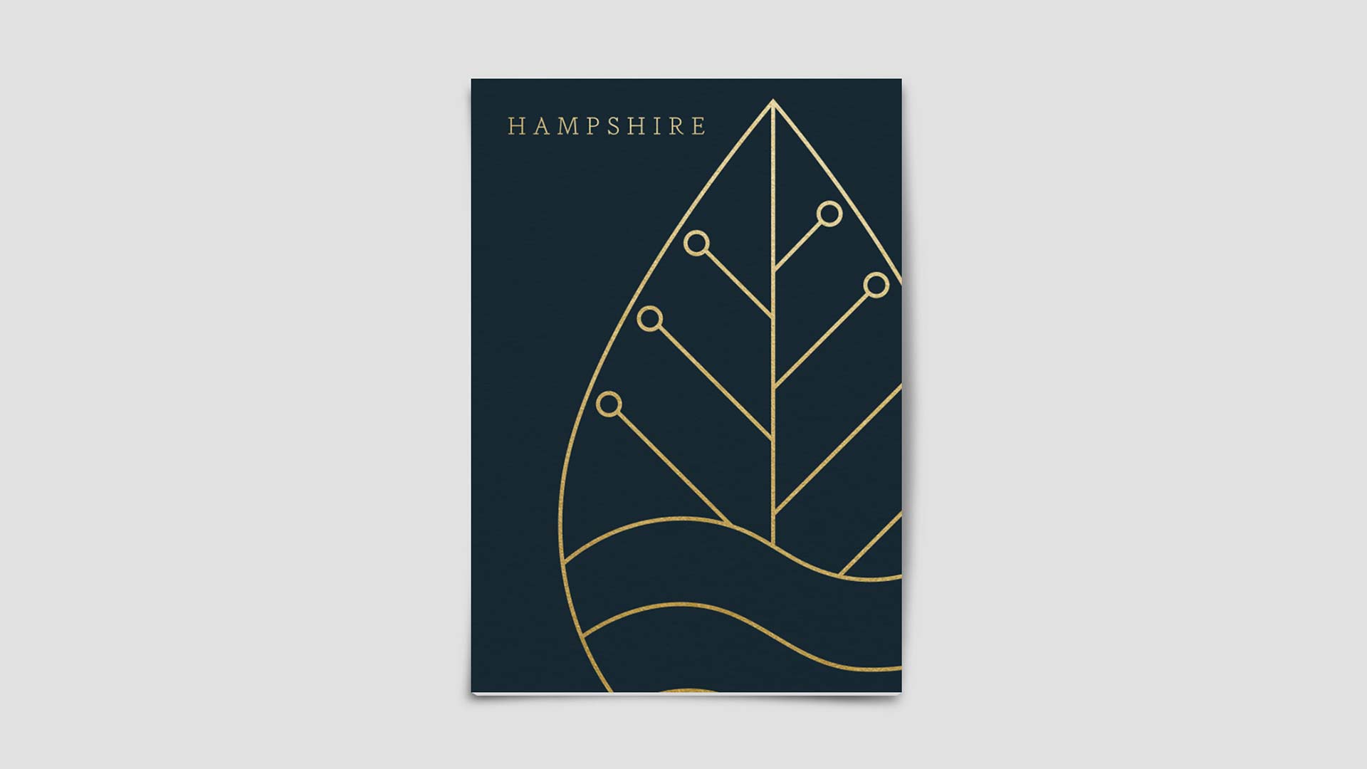 Peter Anderson Studio Hampshire Place Branding 00