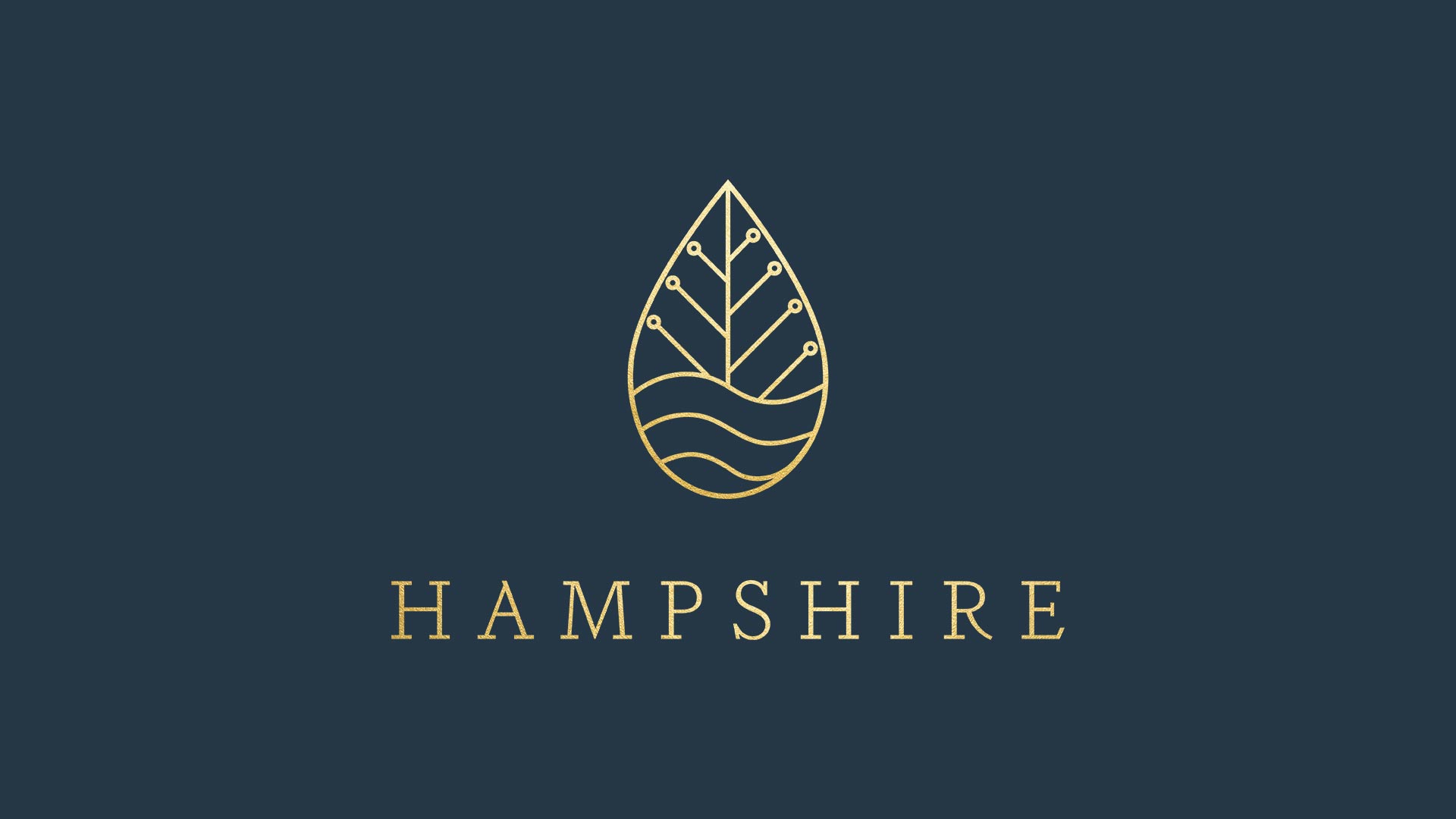 Peter Anderson Studio Hampshire Place Branding 09