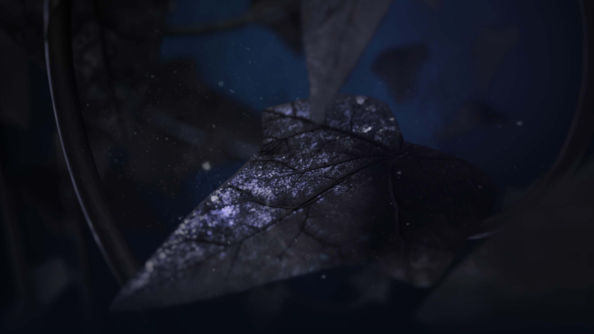 Peter Anderson Studio The Buccaneers Title Sequence 05
