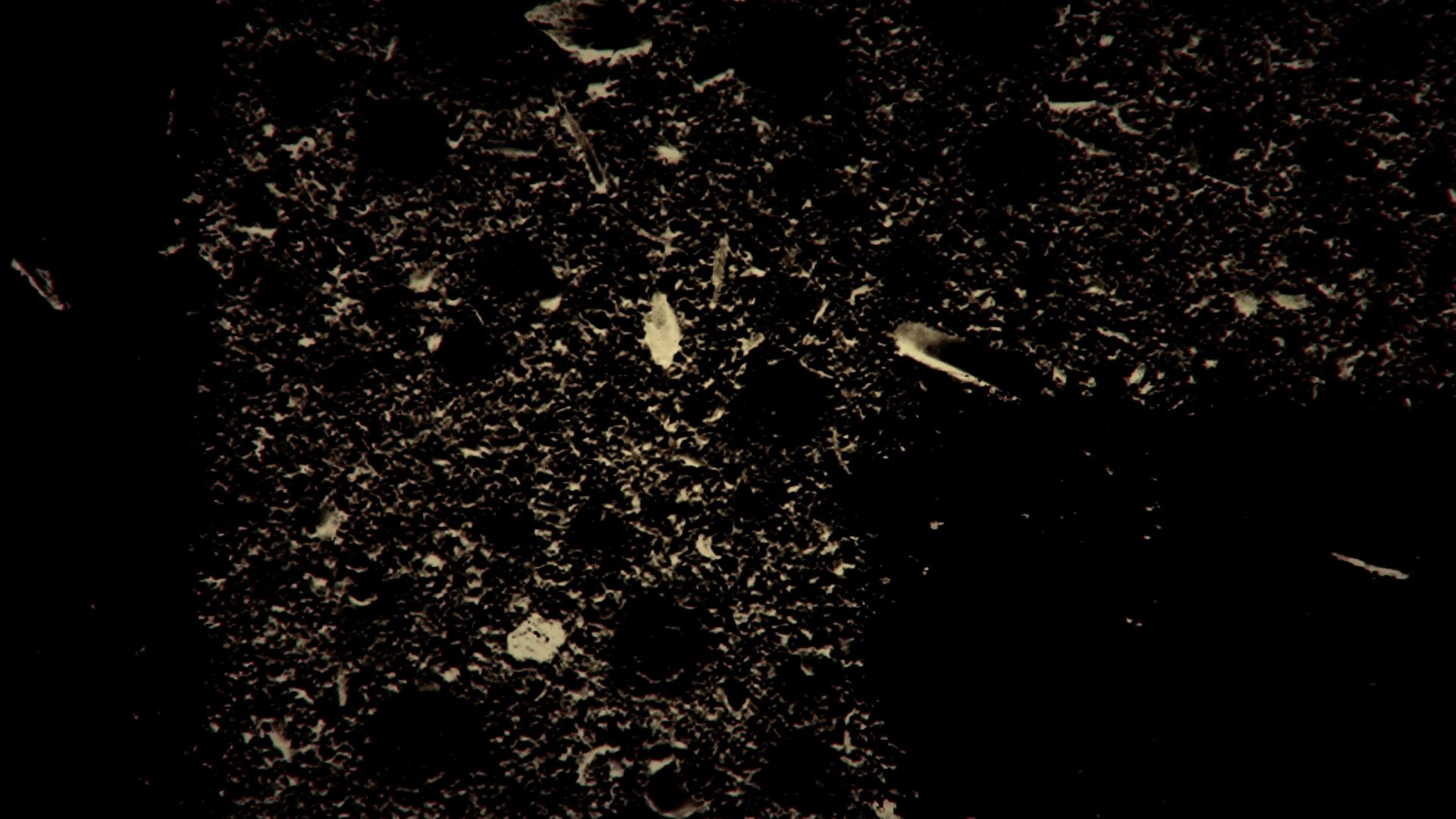 REUNION title sequence by Peter Anderson Studio 02