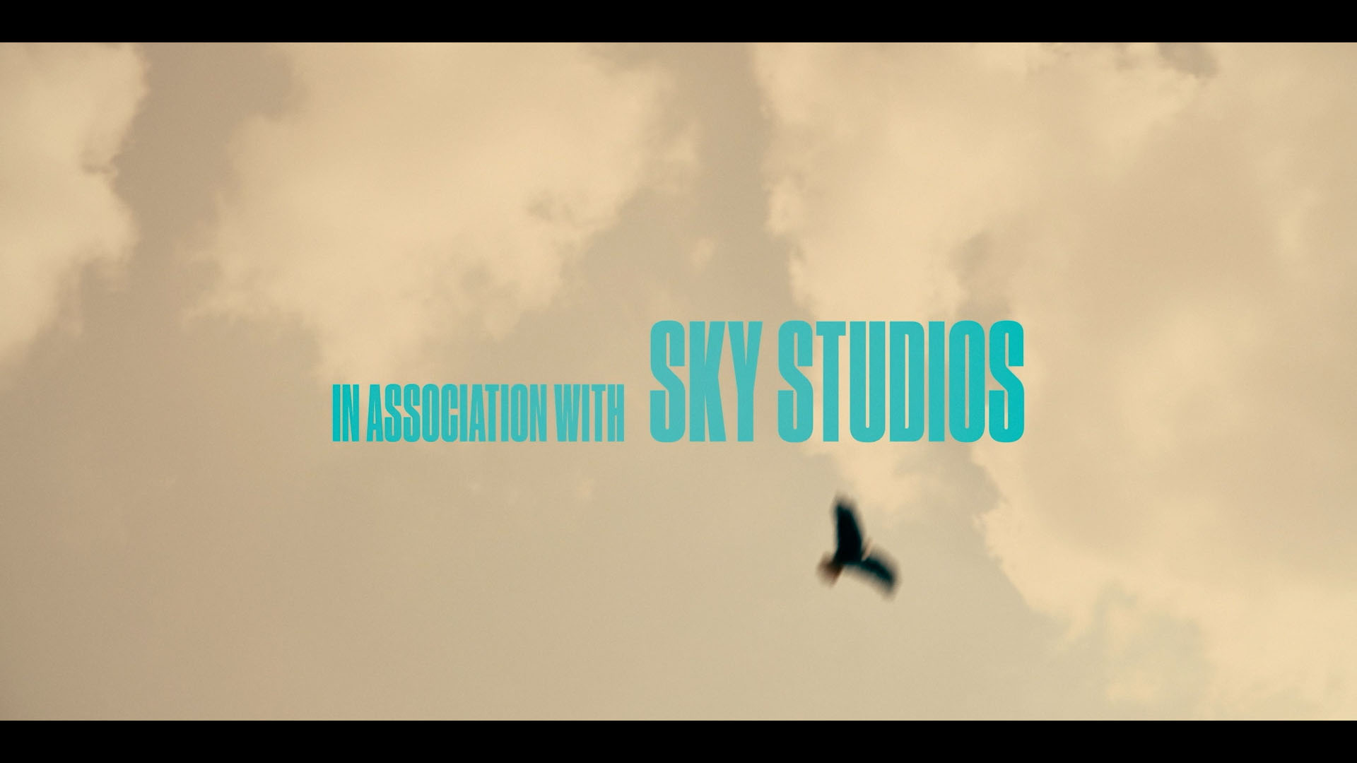 Peter Anderson studio Atomic 00014